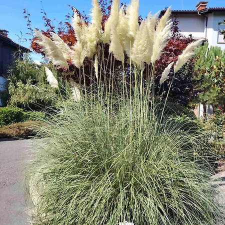 санта марина-сладка къща 索佐波尔