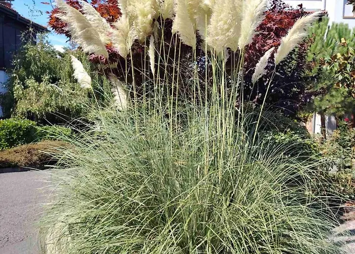 санта марина-сладка къща Sozopol